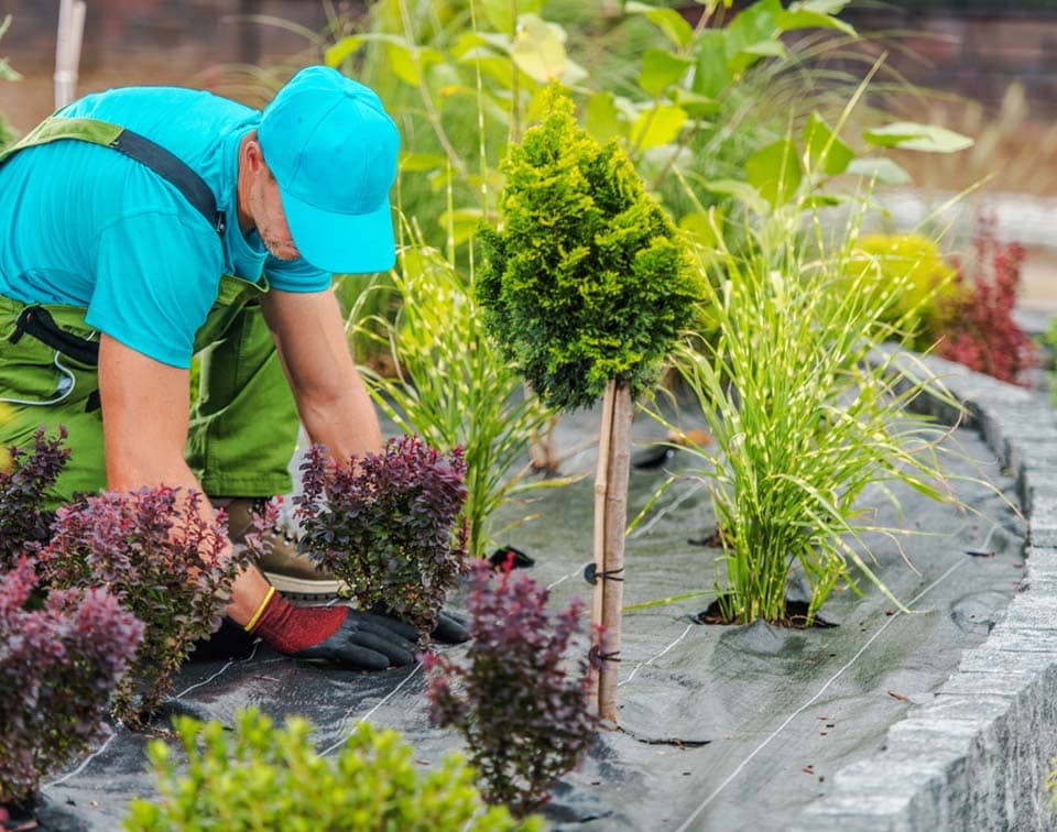 Landscape Design Build