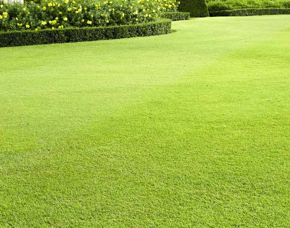 Landscape Architecture